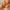 collections/3999e27be790cb0d65b157e32c5f44ba.png