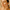 collections/f57a39c064d04ae14cc35958deef472e.png
