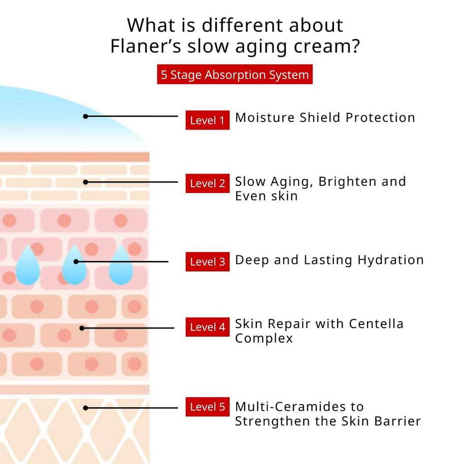 Tomato Peptide Moisturizer – Firming & Hydrating Cream - MIRA MORA