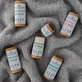 Hydrating Lip Balm Set – 5 Natural Vegan Flavors - MIRA MORA