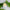 Hydrating Lip Balm Set – 5 Natural Vegan Flavors - MIRA MORA