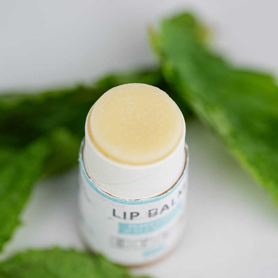 Hydrating Lip Balm Set – 5 Natural Vegan Flavors - MIRA MORA