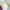 Hydrating Lip Balm Set – 5 Natural Vegan Flavors - MIRA MORA