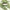 Avocado Pore Cleanser Pack – Deep Clean & Tighten - MIRA MORA
