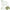 Avocado Pore Cleanser Pack – Deep Clean & Tighten - MIRA MORA