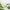 Hydrating Lip Balm Set – 5 Natural Vegan Flavors - MIRA MORA
